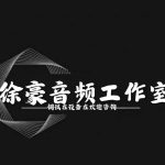 徐豪音频工作室的头像-天宇音频官方